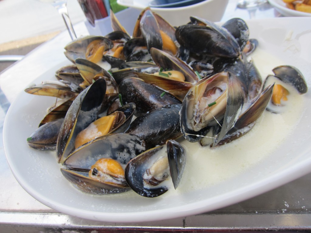 Mussels